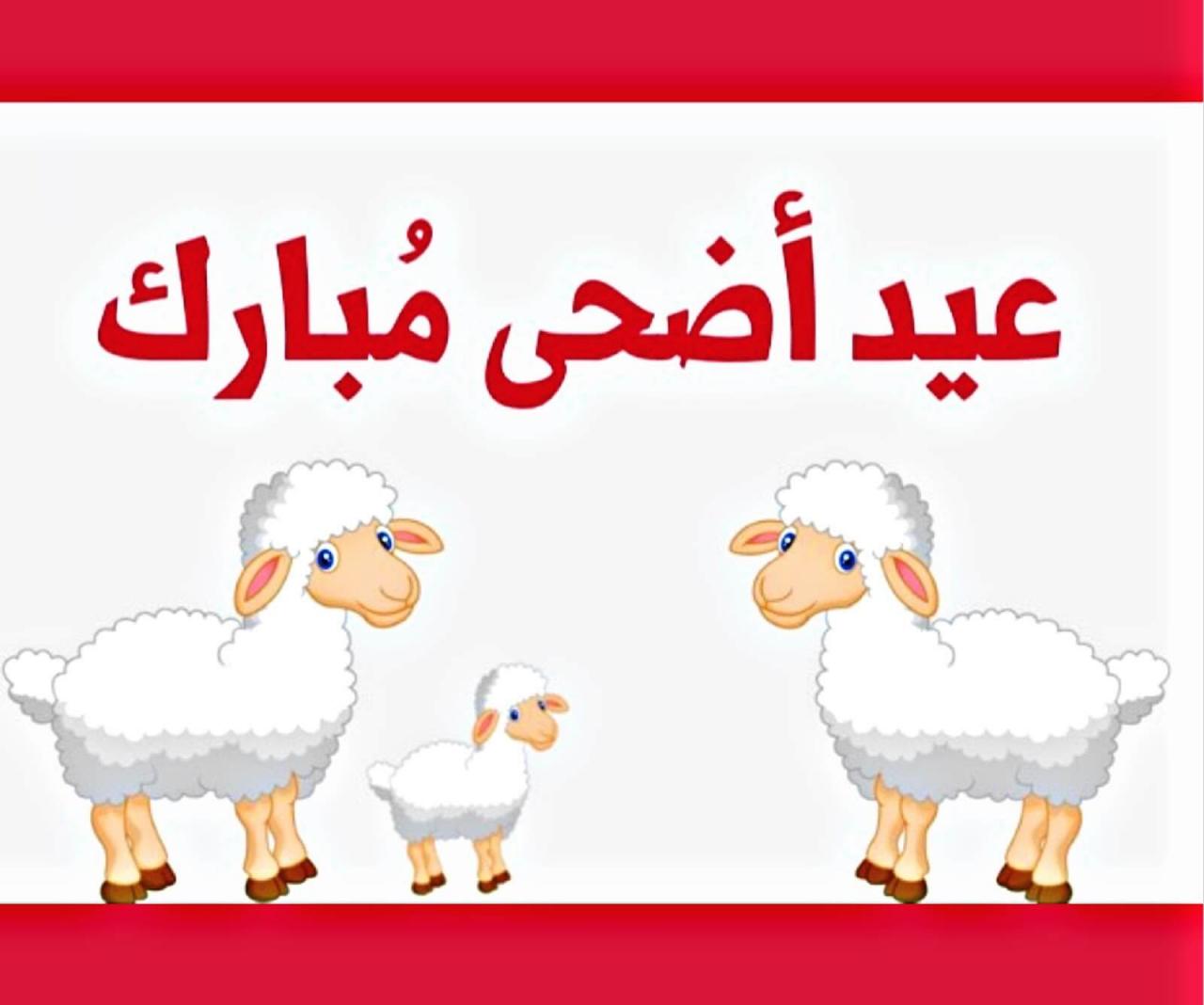 كلام عن العيد الاضحى المبارك - عبارات تهنئة بالعيد الاضحي 10436 3