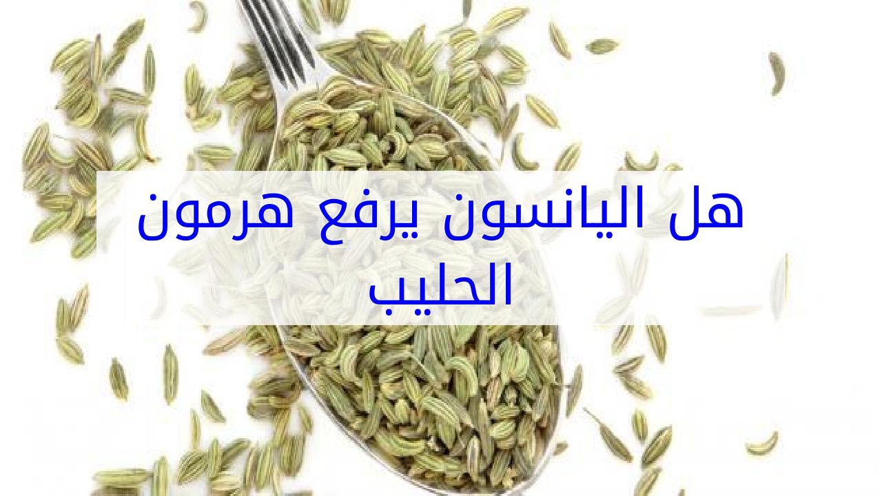 هل اليانسون يرفع هرمون الحليب 357 3