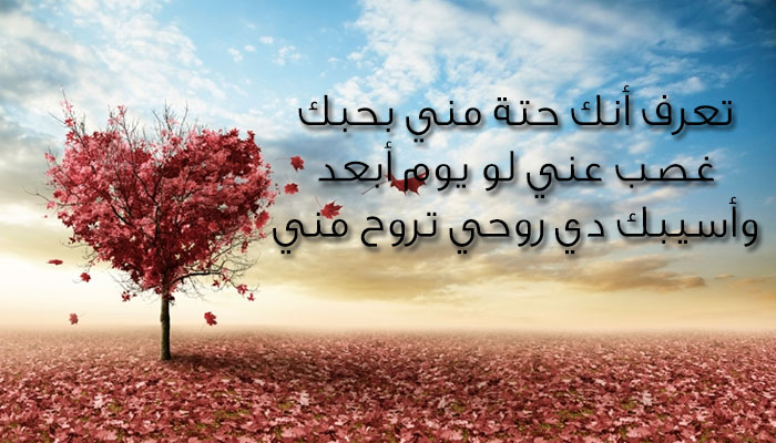 احلى واجمل رسائل حب – ما اروع هذه الرسائل