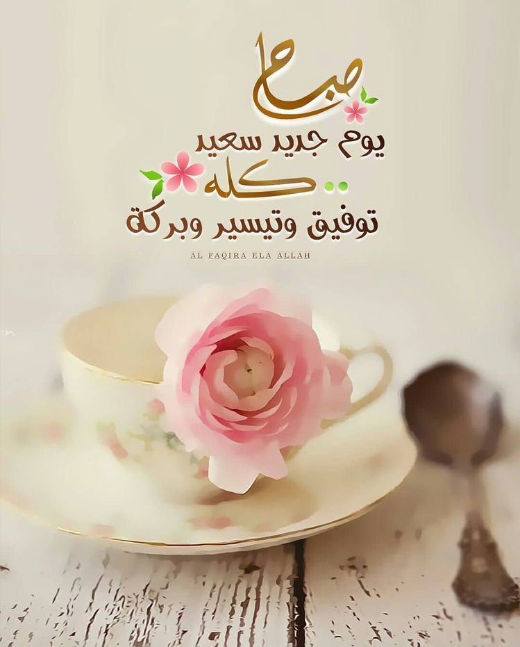 حكم عن الصباح 1428 5