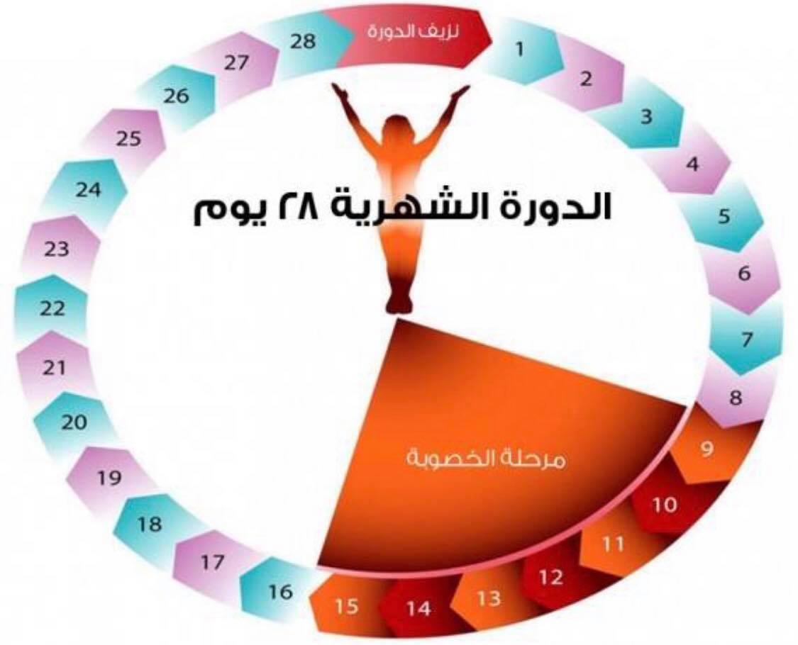 عدد ايام الدورة الشهرية 774