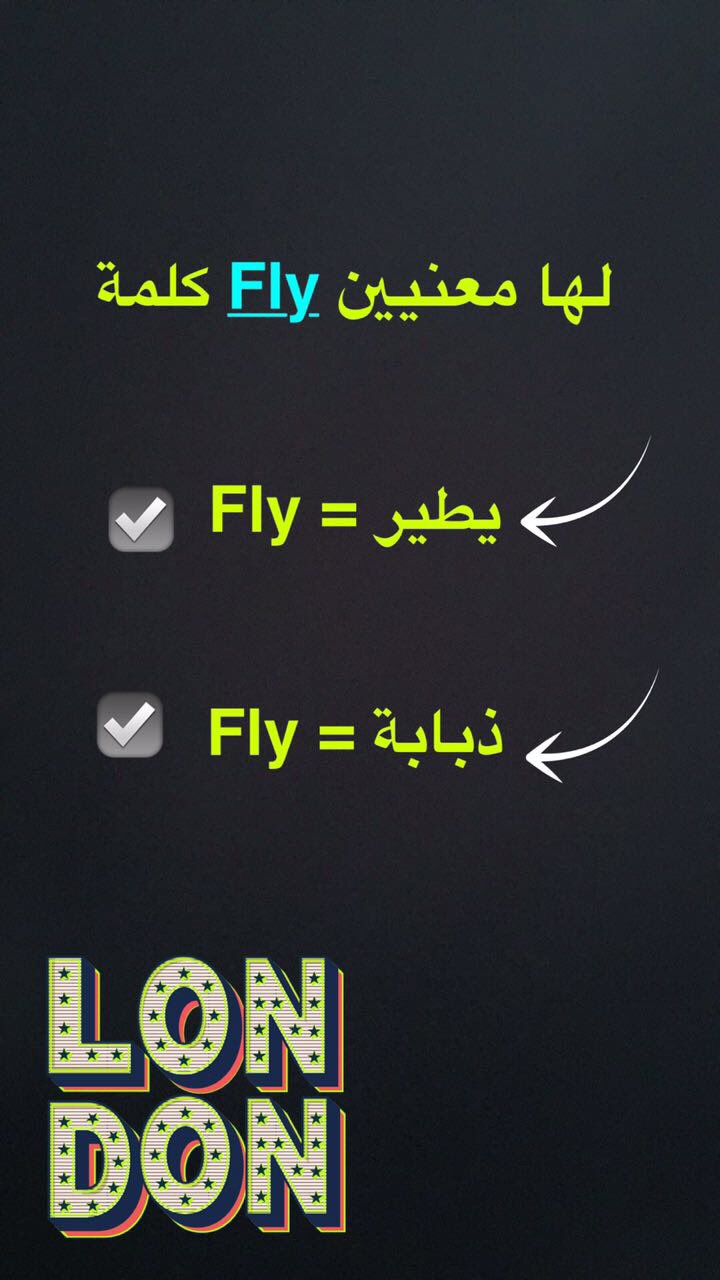 معنى كلمة Fly 824 3