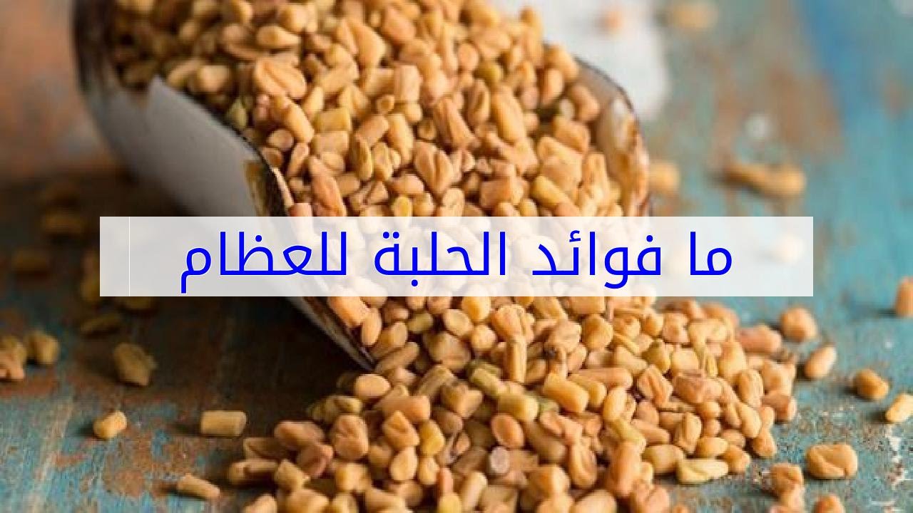 ما فائدة الحلبة , معلومات مذهله عن الحلبه