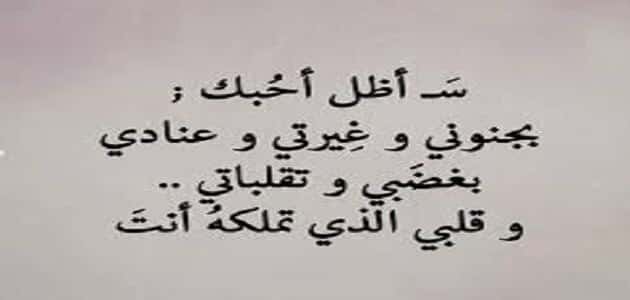 اجمل ما قيل بالحب والعشق - انت كل احلامي 10599 2