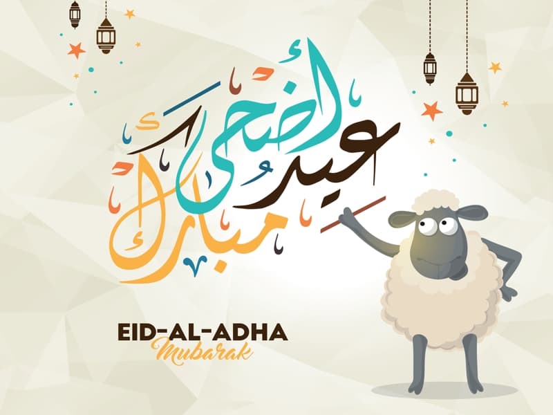 اجمل الصور لعيد الاضحى - اجمل الاحتفالات بالعيد الاضحى بالصور 3660 3