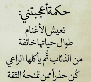 شعر عن الكذب والخداع قصير 3915