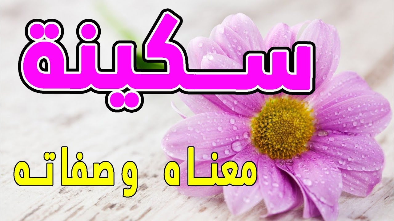 معنى اسم سكينة 3859