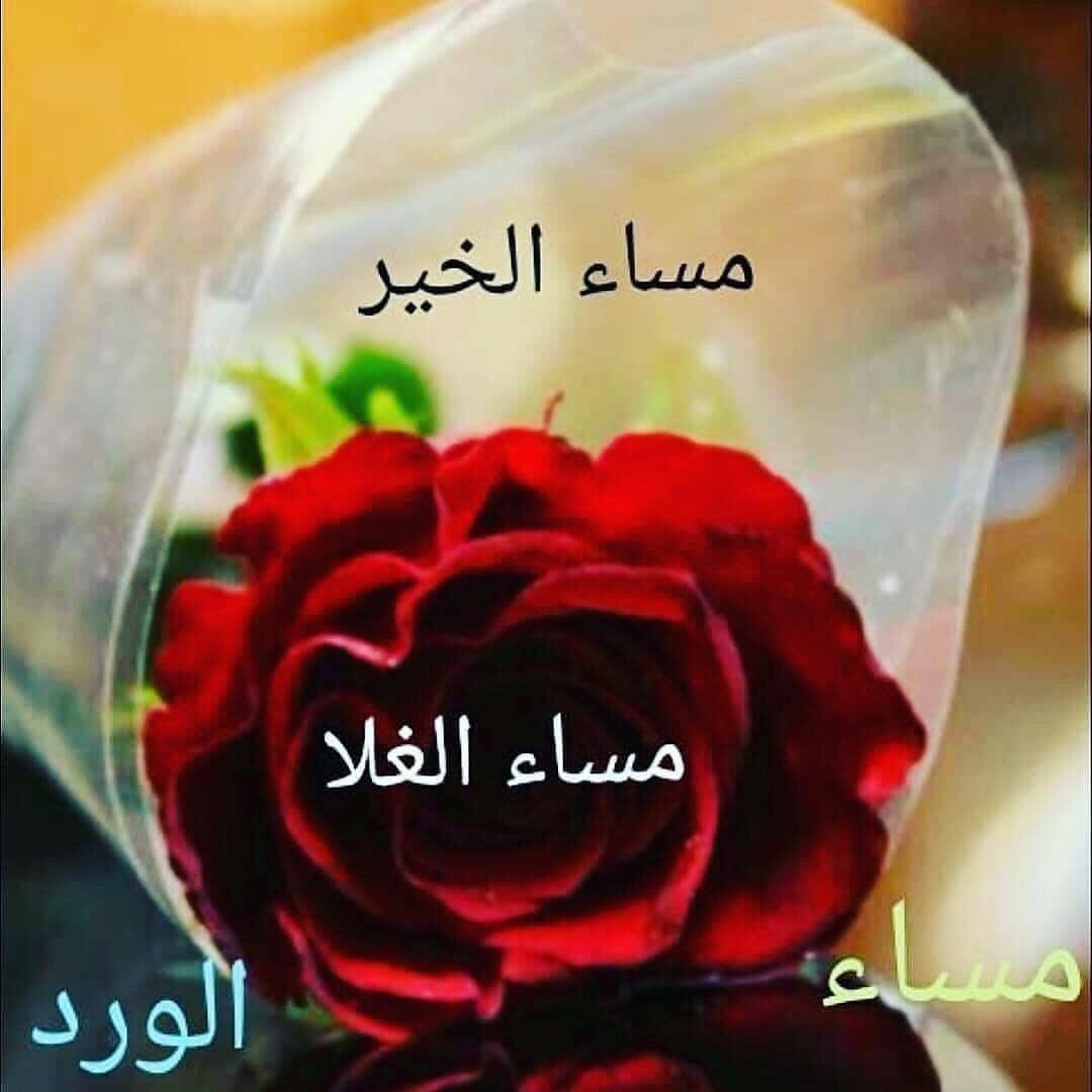 مساء الشوق والحب 825 1