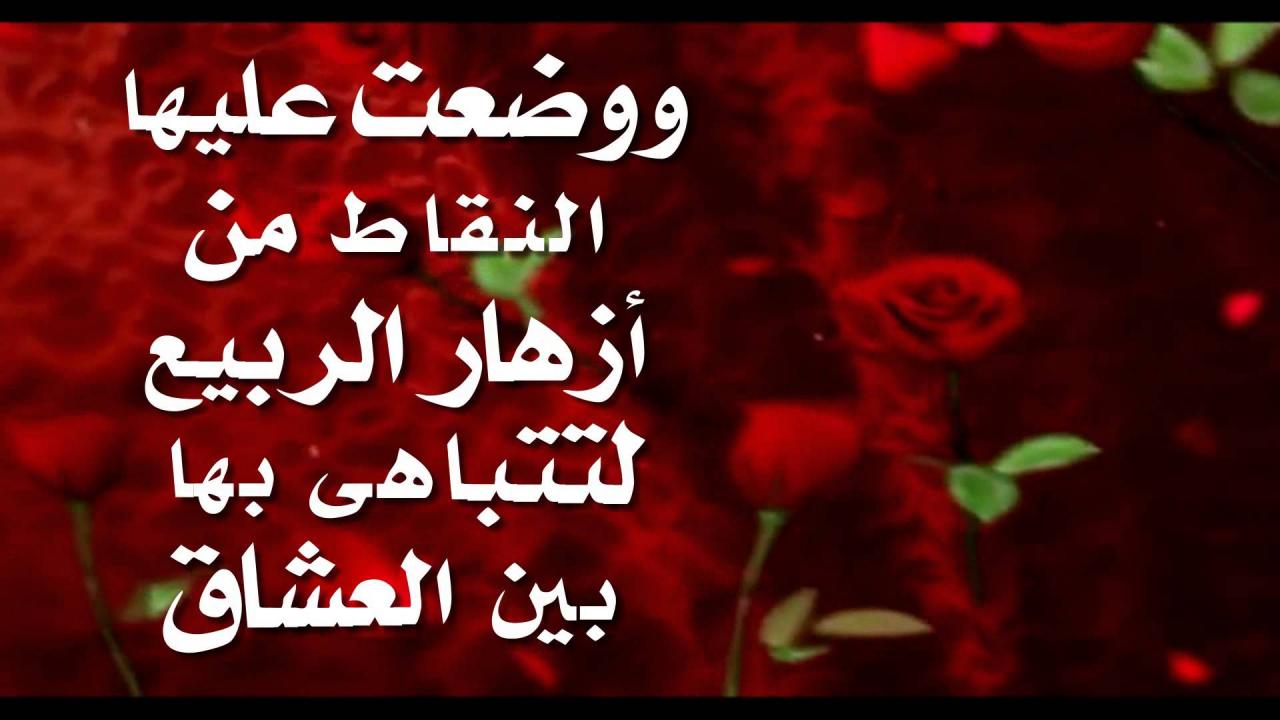 رسائل حب حلوه للحبيب - عمري ملهوش معني من غيرك 11489 5