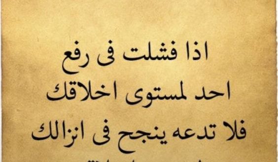 حكم عن الدراسة - كلمات عن المدرسة 11610 8