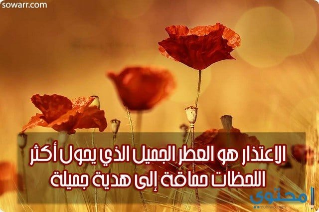 رسائل اعتذار عن التقصير 1535 8