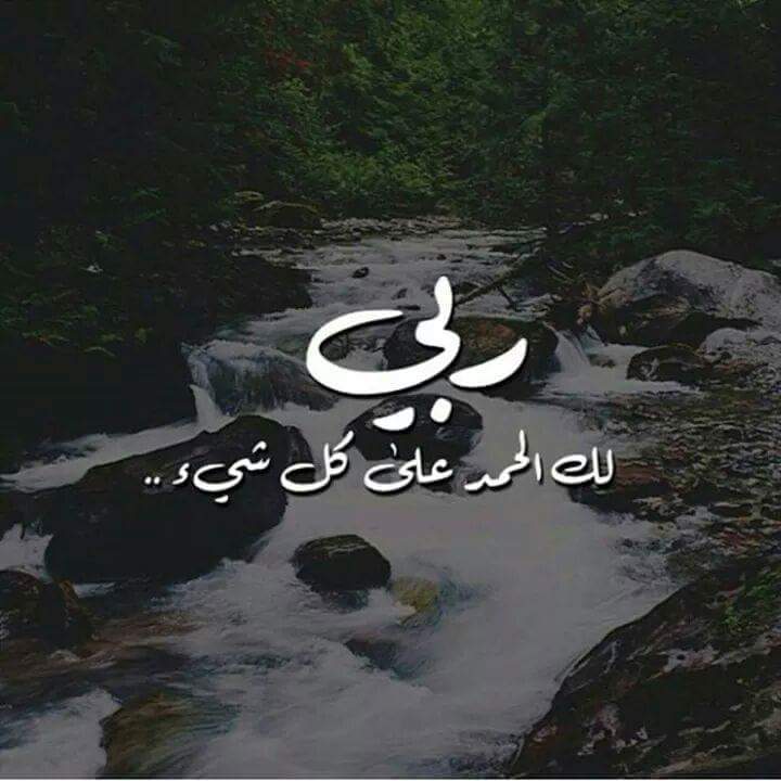 صور وحكم رائعه - صور حكم ومقولات 1895 11