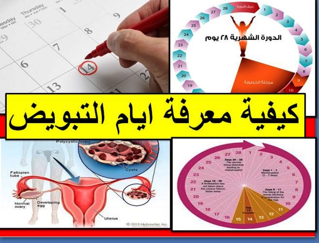 حجم البويضة 22 هل يحدث حمل - احتمال كبير يحدث حمل 10717