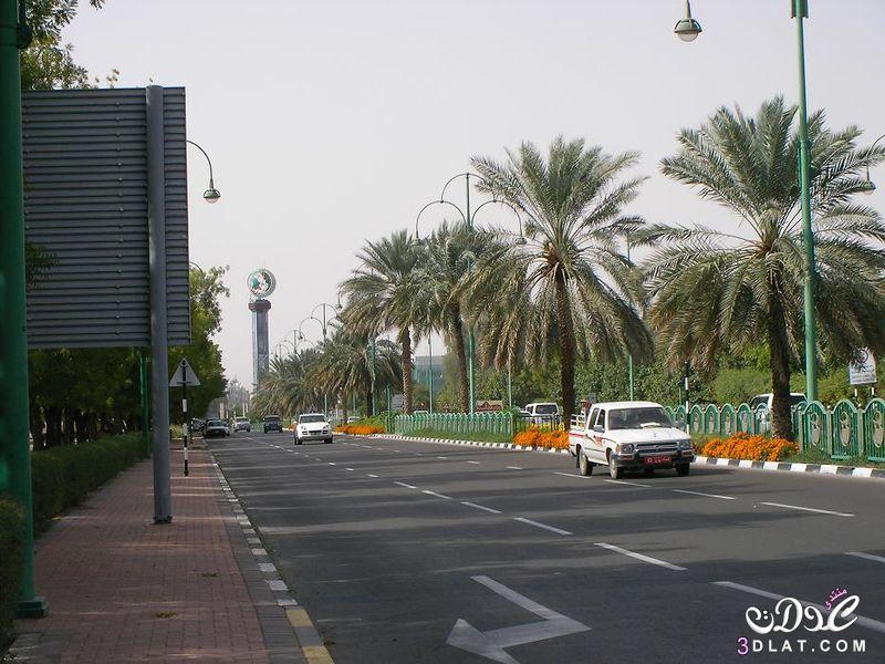 صور مدينة العين , اجمل المعالم والمناظر في مدينة العين بالصور